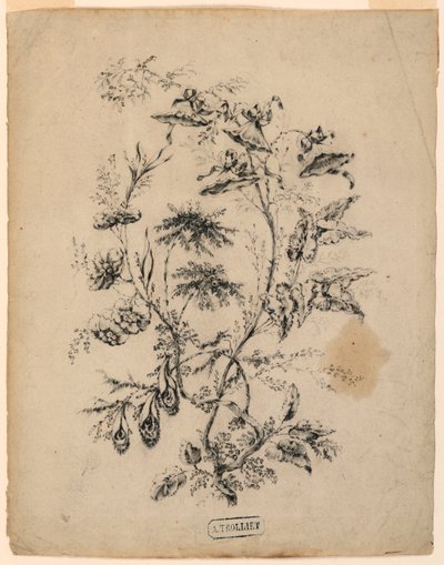 Bough of a Fantastic Tree, 1775–1800 by Jean Baptiste Pillement