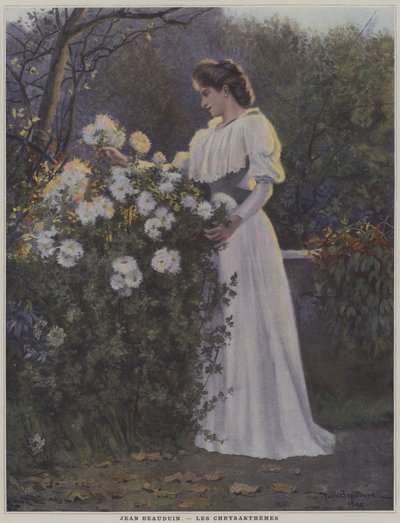 Chrysanthemums by Jean Beauduin