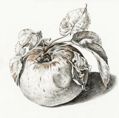 Apple by Jean Bernard