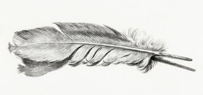 Feather by Jean Bernard