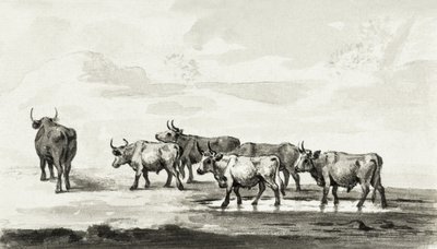 Group of Six Bulls by Jean Bernard