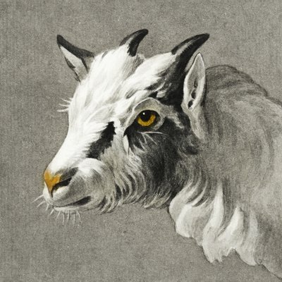 Head of a Goat by Jean Bernard