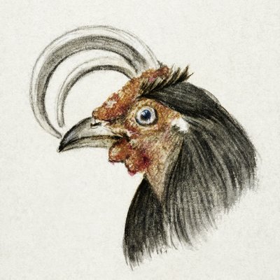 Head of a Rooster by Jean Bernard