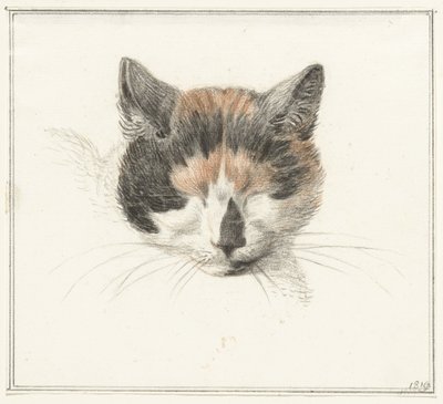 Head of a Calico Cat, Front View, with Closed Eyes by Jean Bernard