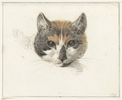 Head of a calico cat, front view, with open eyes by Jean Bernard