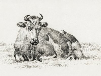Lying Cow by Jean Bernard