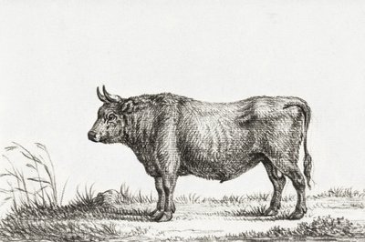 Standing Bull by Jean Bernard