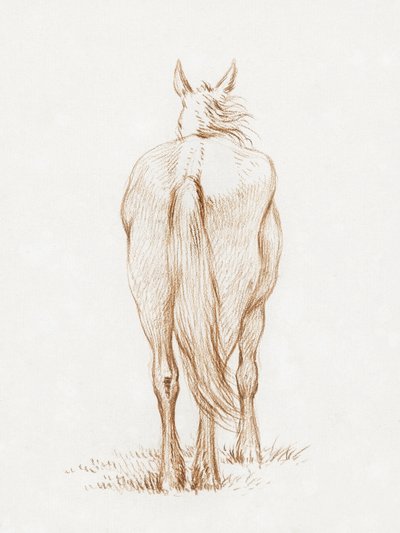 Standing Horse by Jean Bernard