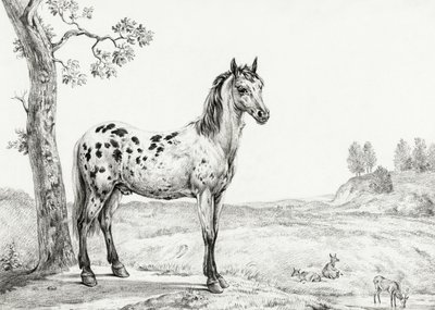 Standing Mottled Horse by Jean Bernard