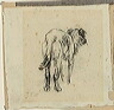 Study of a Dog by Jean Francois Millet