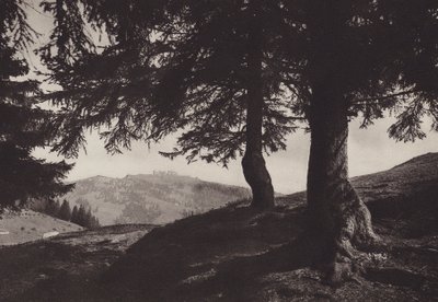 Rigi Staffel, Walking path near Staffel by Jean Gaberell
