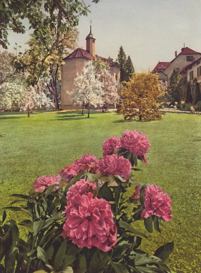 Switzerland: Mammern on the Lake of Constance, in the Grounds of the Sanatorium by Jean Gaberell