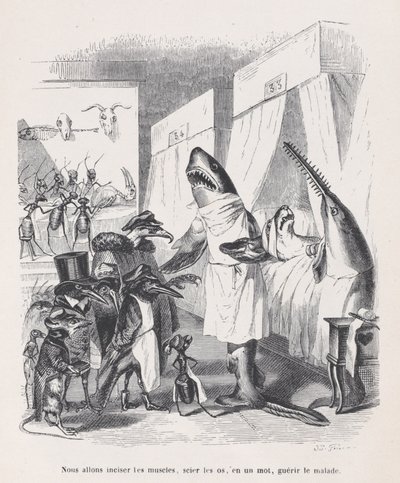 We are going to incise the muscles, saw the bones, in a word, heal the sick from Sc, ca. 1837-47 by Jean Ignace Isidore Gérard