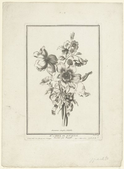 Bouquet of Anemone and Bindweed (title on object) Anemones simples, Volubilis (series title) IIe Cahier de Bouquets by Jean Jacques Avril (I)