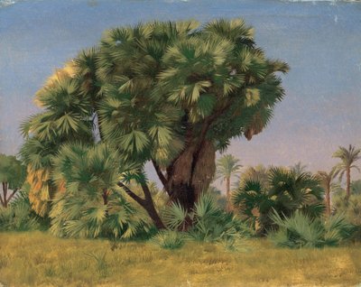 Study of Palm Trees by Jean Leon Gerome