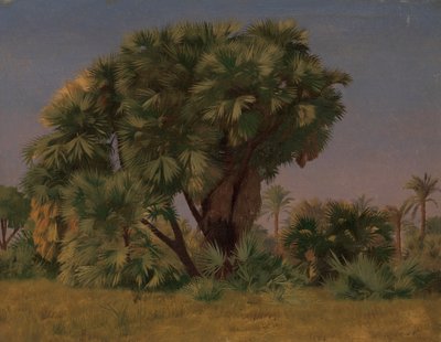 Study of Palm Trees by Jean Leon Gerome