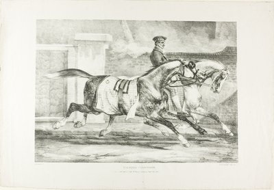 Horses Exercising, plate 6 from Various Subjects Drawn from Life on Stone by Jean Louis André Théodore Géricault