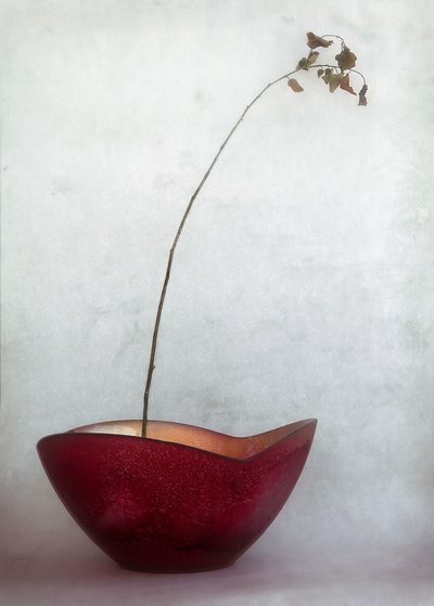 Delicate Autumn Still Life by Jeffrey Hummel