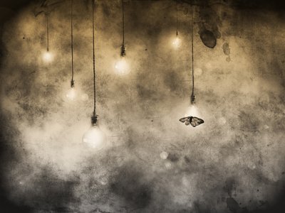 Moth And Glowing Bulbs by Jeffrey Hummel