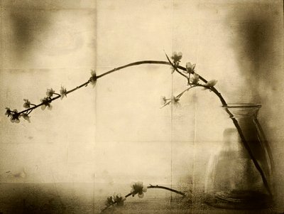 Sepia Floral Still Life by Jeffrey Hummel