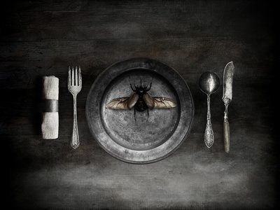 Unsettling Beetle Meal by Jeffrey Hummel