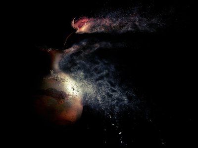 Vanishing Floral Dust by Jeffrey Hummel