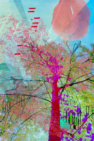 Vibrant Abstract Tree by Jenja Braun