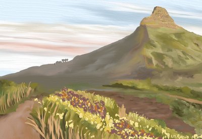 Wildflower Mountain Trail by Jenna Alheit