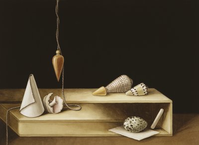 Optical Illusion, 2005 by Jenny Barron