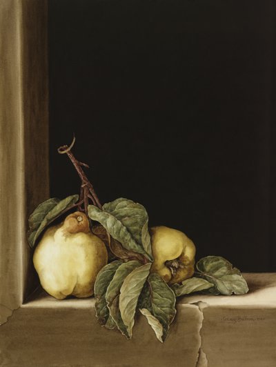 Quinces by Jenny Barron