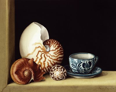Still life with Nautilus by Jenny Barron