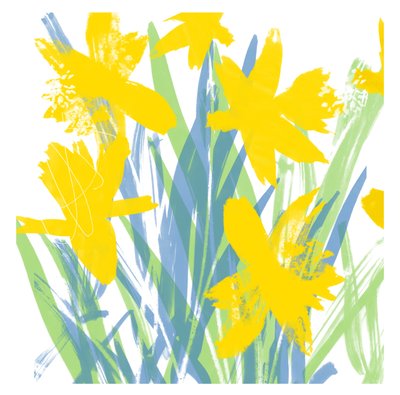 Spring Daffodils by Jenny Frean