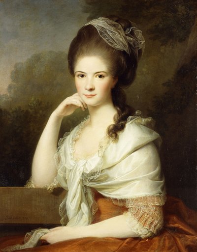 Portrait of a Lady, Seated Half-Length, Wearing a Brown Dress and a White Shawl by Jens Juel