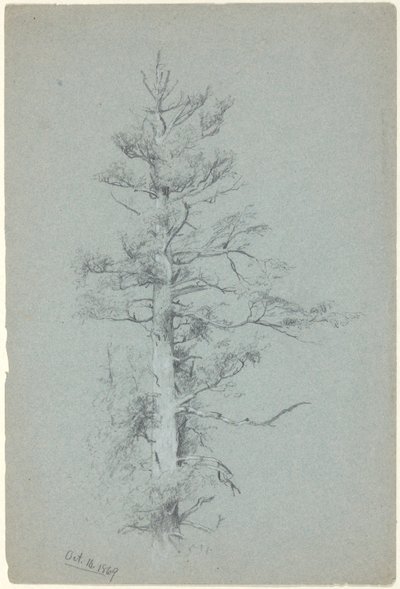 Tree Study by Jervis McEntee