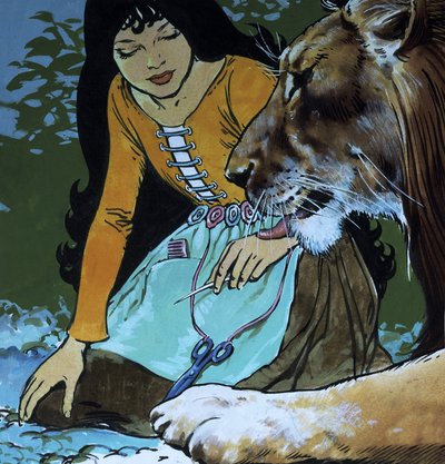 The Enchanted Lion by Jesus Blasco