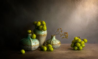 Moody Grapes Still Life by Jie Fischer