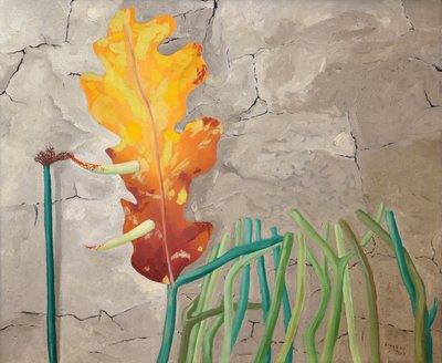 Everyday Awakening by Jindrich Styrsky