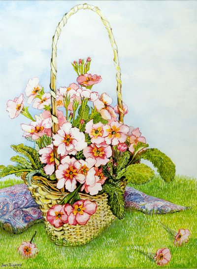 Pink Primroses in a Florist