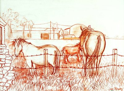 Serenade, Janie and a Donkey in the Meadow by Joan Thewsey
