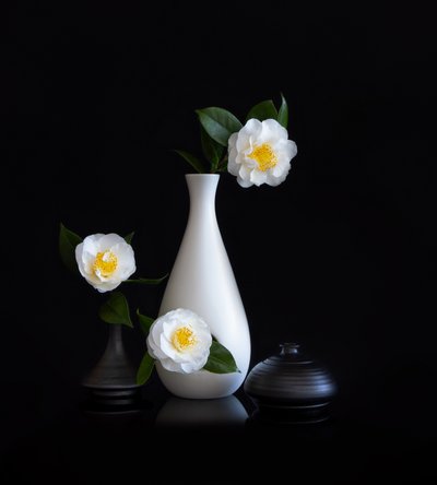 White Camellias Still Life by Joanna W