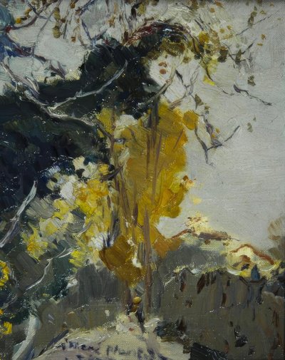 Tree by Joaquim Mir i Trinxet