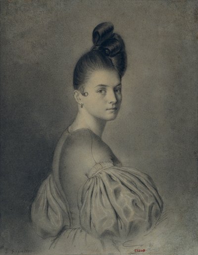 Portrait of a Lady by Joaquín Espalter y Rull