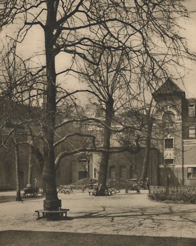 Under the Elms in the Courtyard of Middlesex Hospital, c1935 by Joel