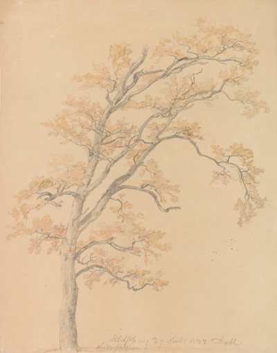Oak Trees with Autumn Leaves, Milicz by Johan Christian Dahl