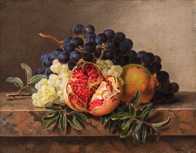 Pomegranates and Green and Blue Grapes on a Marble Frame by Johan Laurentz Jensen