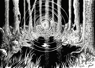 Mystical Forest Ripples by Johan Liewendahl