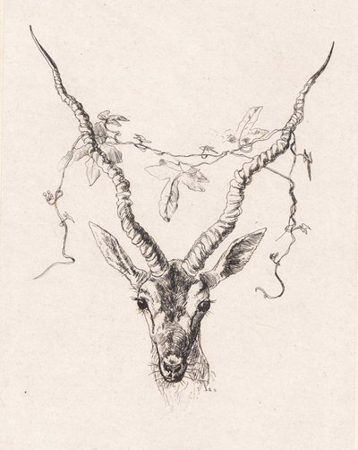 Antelope Head by Johan Lundbye