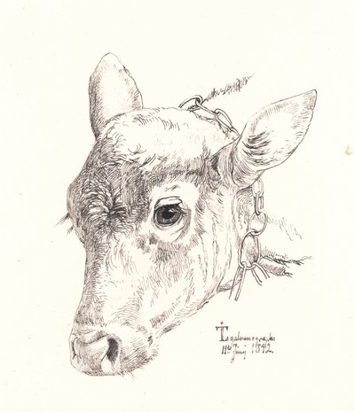 Calf Head by Johan Lundbye