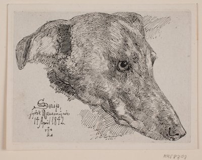Dog Head, Snip by Johan Lundbye