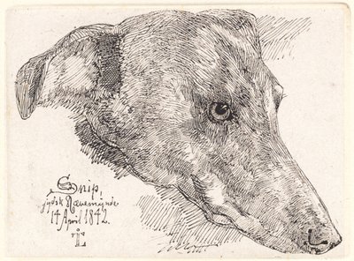 Dog Head, Snip by Johan Lundbye